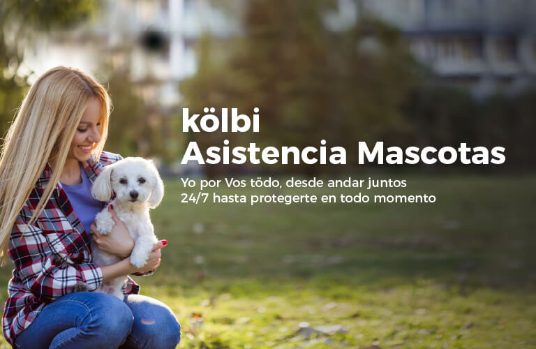 kölbi Asistencia mascotas