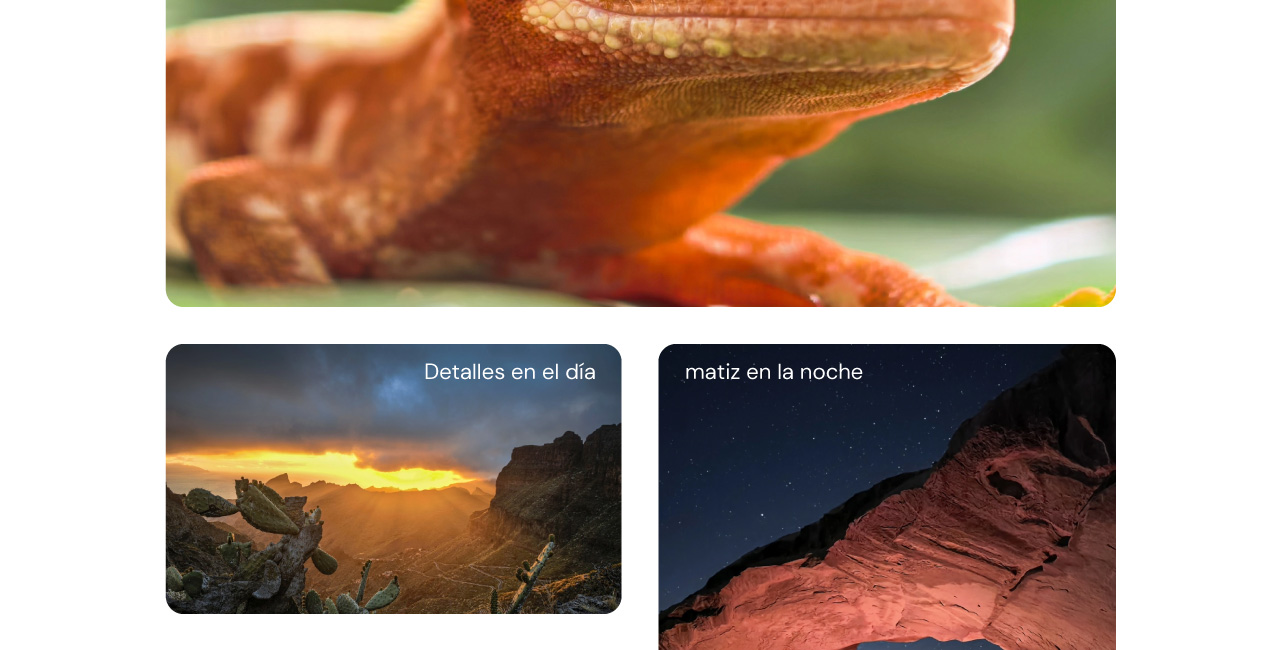 Detalles en el día, matiz en la noche