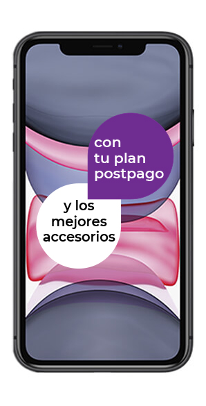 iPhone 11 vista frontal