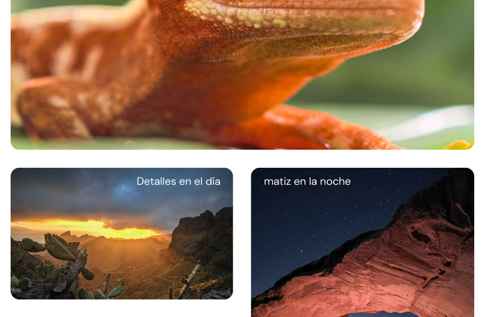 Detalles en el día, matiz en la noche