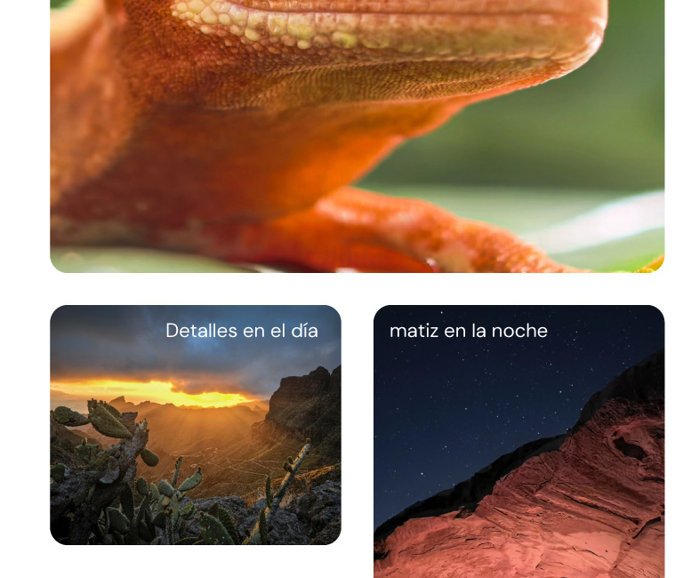 Detalles en el día, matiz en la noche