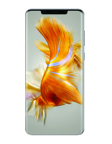 Huawei Mate 50 Pro vista frontal