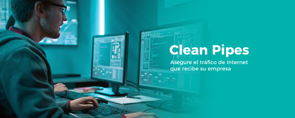 Seguridad y respaldo