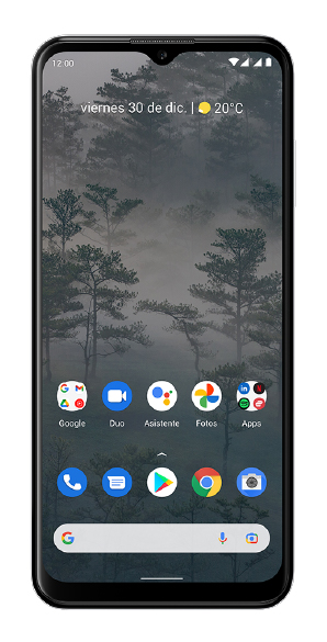 Nokia G60 vista frontal