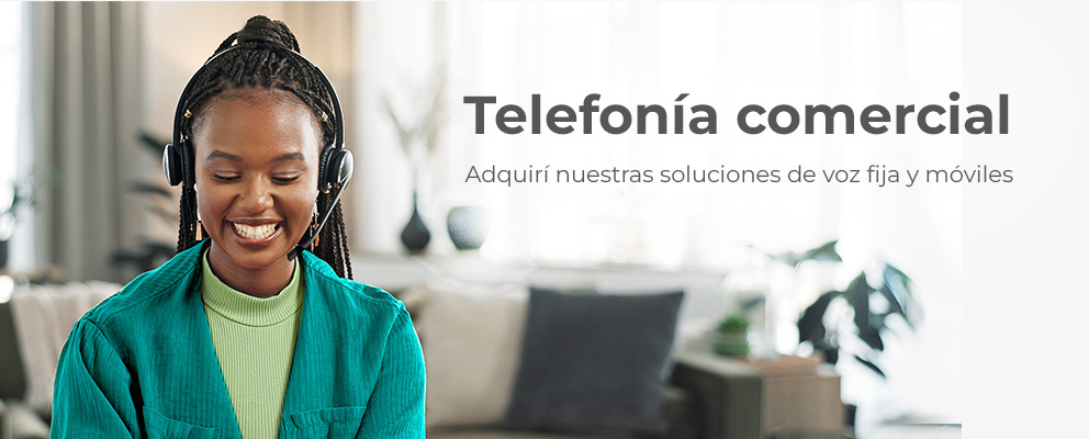 Telefonía Fija